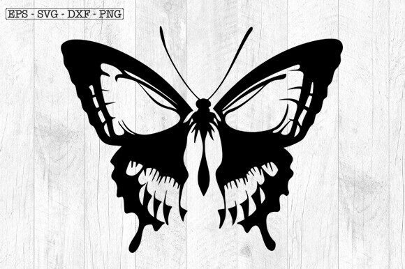 Butterfly Skull Svg , Skeleton Svg Review